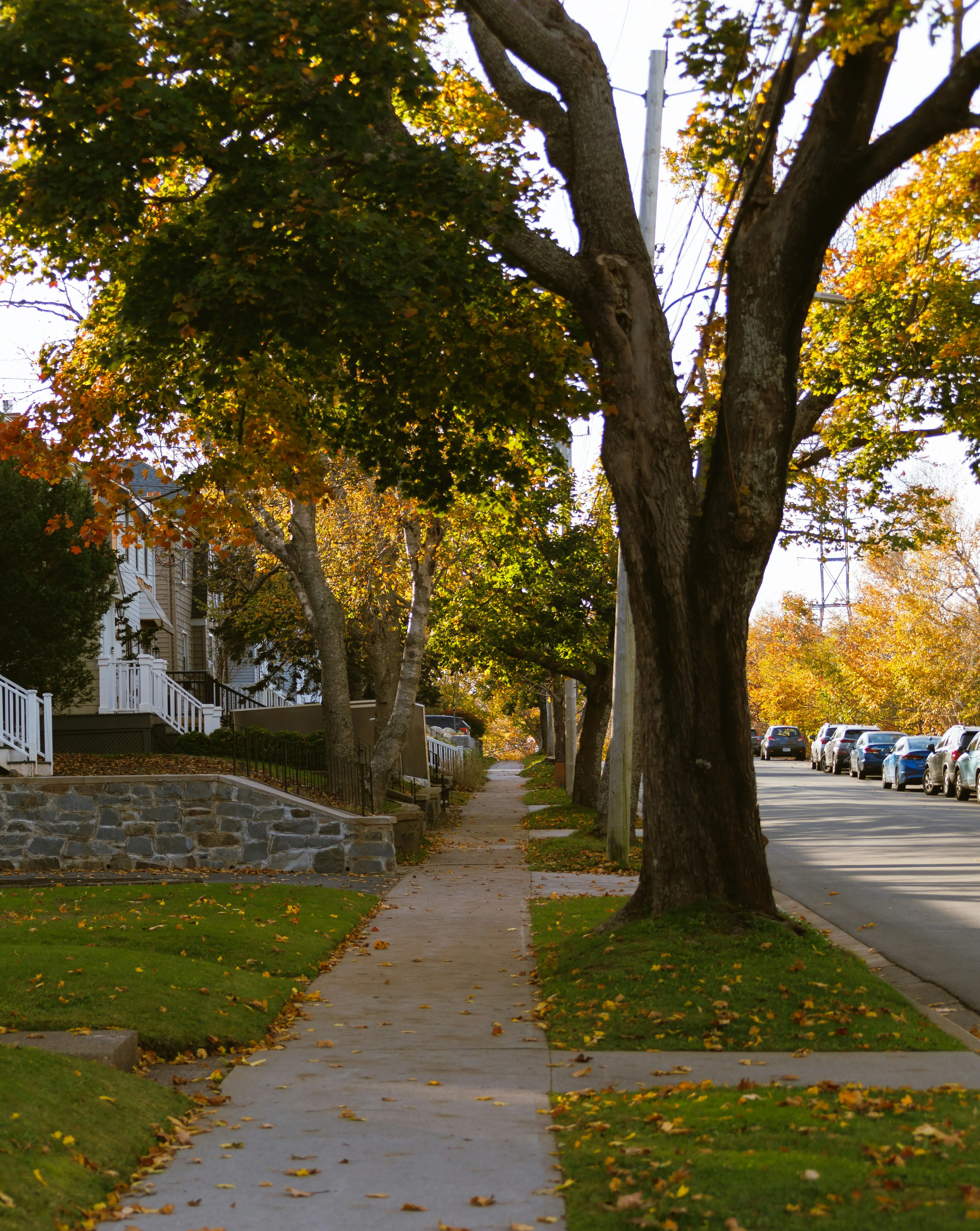 A Street