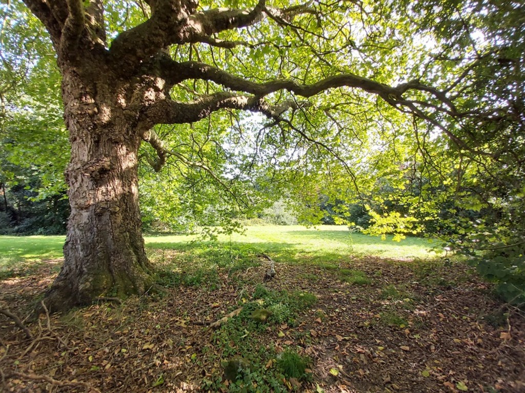 Old Church Road